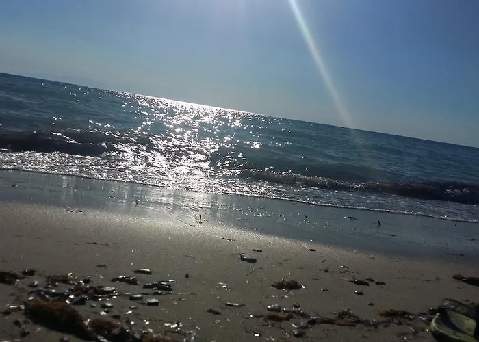 Sakis Сasa de vacaciones *